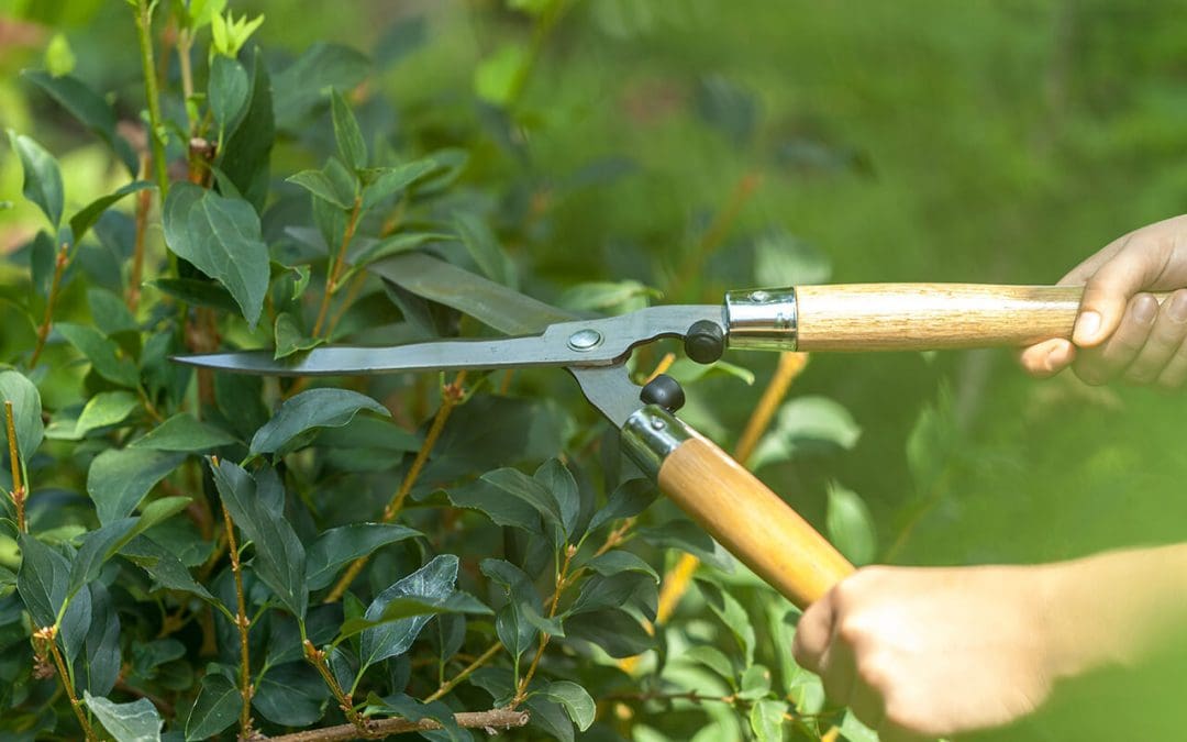 Home Maintenance Services Homeowners Should Schedule