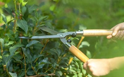 Home Maintenance Services Homeowners Should Schedule