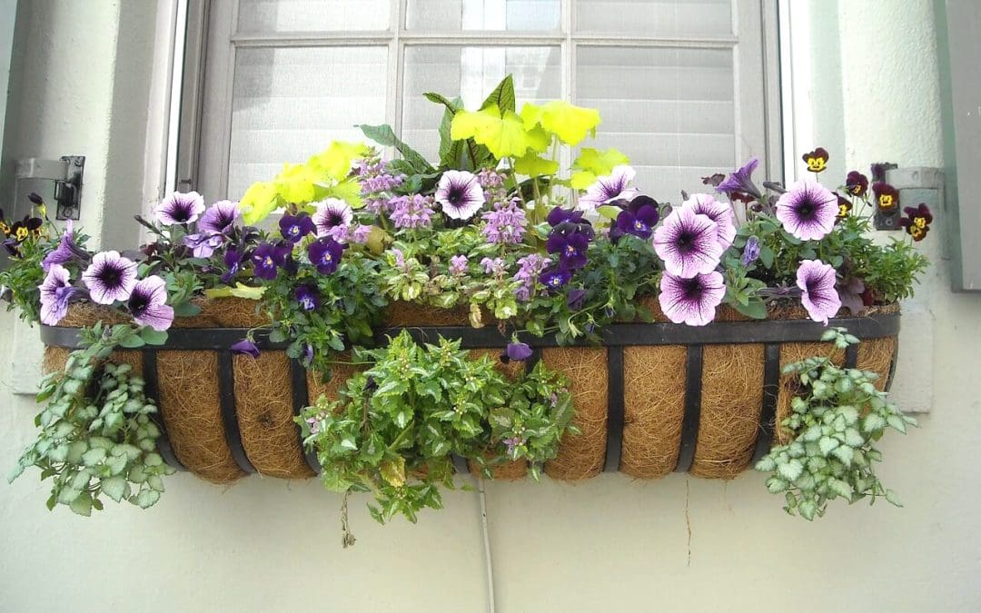 6 Tips to Boost Curb Appeal This Summer