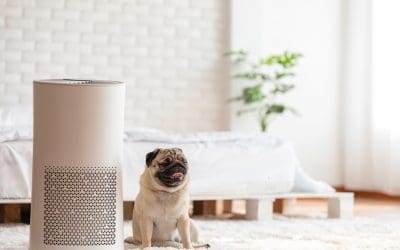 7 Tips to Improve Indoor Air Quality During Colder Months